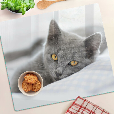 Tagliere in vetro Gatto con gli occhi gialli