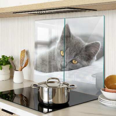 Tagliere in vetro Gatto con gli occhi gialli