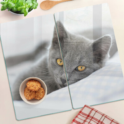 Tagliere in vetro Gatto con gli occhi gialli