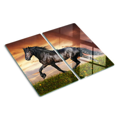 Tagliere in vetro temperato Un cavallo sullo sfondo del sole al tramonto
