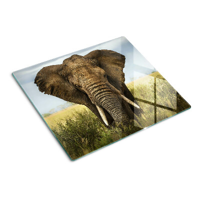 Tagliere in vetro temperato Un elefante sullo sfondo della savana africana