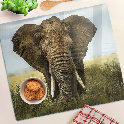 Tagliere in vetro temperato Un elefante sullo sfondo della savana africana