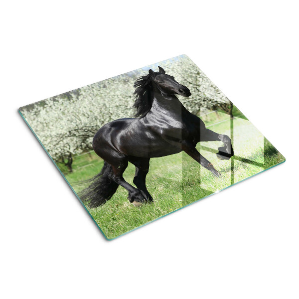 Tagliere in vetro Cavallo nero nel prato