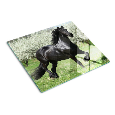 Tagliere in vetro Cavallo nero nel prato