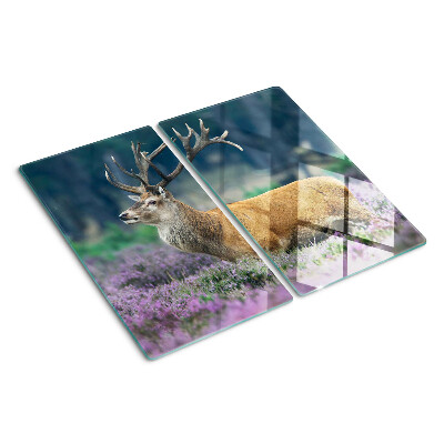Tagliere in vetro Cervo in un paesaggio di lavanda