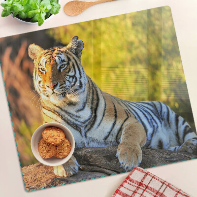 Tagliere in vetro Tigre sullo sfondo della natura