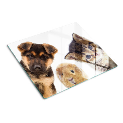 Tagliere in vetro Cani, gatti, conigli