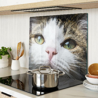 Tagliere in vetro temperato Gatto con gli occhi verdi