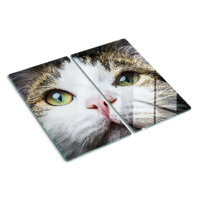 Tagliere in vetro temperato Gatto con gli occhi verdi