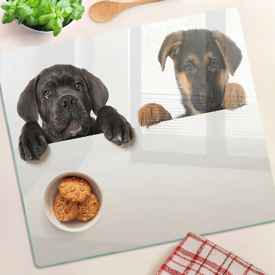 Tagliere in vetro Due cani che si guardano intorno