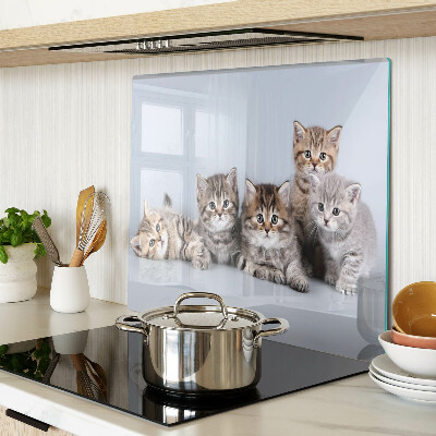 Tagliere in vetro temperato Gatti davanti alla finestra