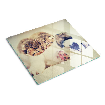 Tagliere in vetro Gatti e un cane che dormono insieme