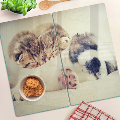Tagliere in vetro Gatti e un cane che dormono insieme