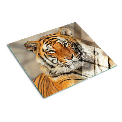 Tagliere in vetro temperato Tigre in un ambiente naturale
