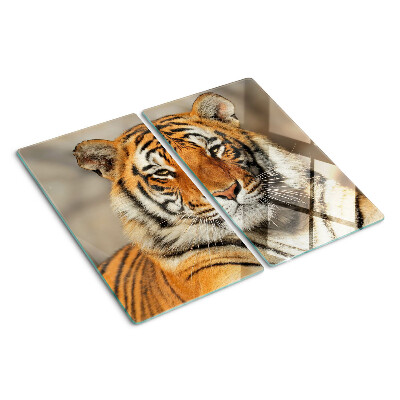 Tagliere in vetro temperato Tigre in un ambiente naturale