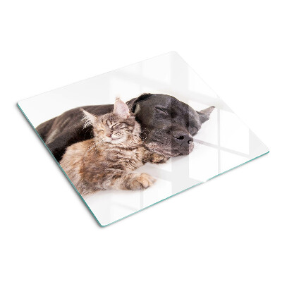 Tagliere in vetro temperato Gatto e cane che dormono insieme