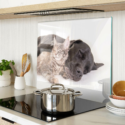 Tagliere in vetro temperato Gatto e cane che dormono insieme
