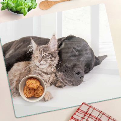 Tagliere in vetro temperato Gatto e cane che dormono insieme