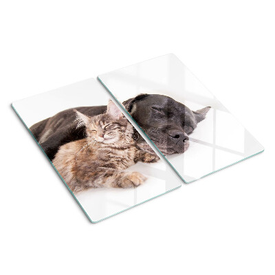 Tagliere in vetro temperato Gatto e cane che dormono insieme