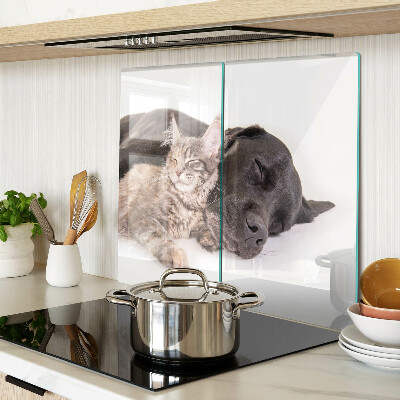 Tagliere in vetro temperato Gatto e cane che dormono insieme