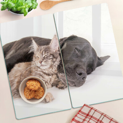 Tagliere in vetro temperato Gatto e cane che dormono insieme
