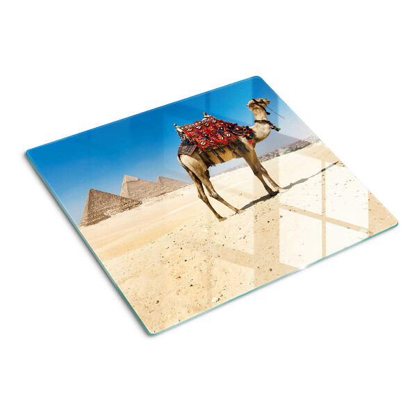 Tagliere in vetro Piramidi e un cammello nel deserto