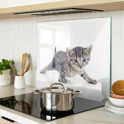 Tagliere in vetro Gattino con gli occhi azzurri
