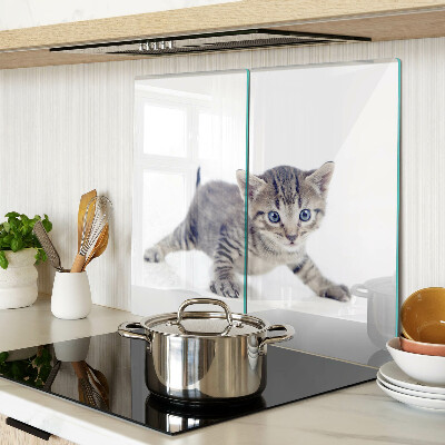 Tagliere in vetro Gattino con gli occhi azzurri