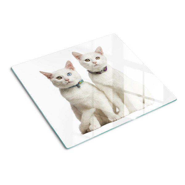 Tagliere in vetro temperato Gatti bianchi con occhi di colore diverso