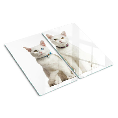 Tagliere in vetro temperato Gatti bianchi con occhi di colore diverso