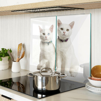 Tagliere in vetro temperato Gatti bianchi con occhi di colore diverso