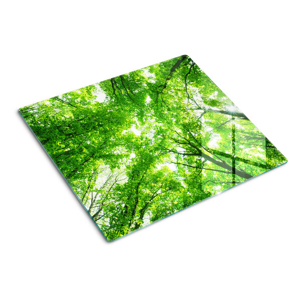 Tagliere in vetro Foreste e alberi verdi