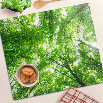 Tagliere in vetro Foreste e alberi verdi