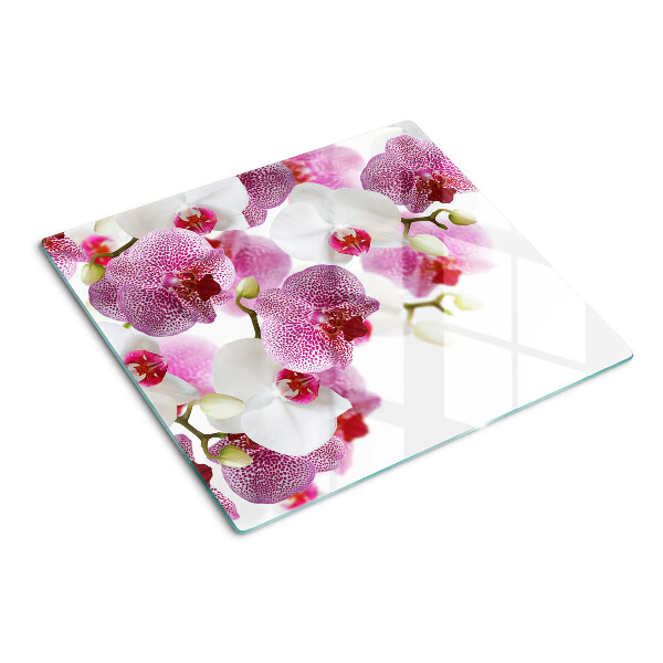 Tagliere in vetro Orchidee davanti alla finestra