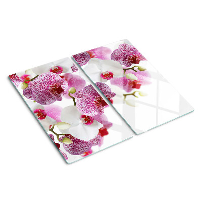 Tagliere in vetro Orchidee davanti alla finestra