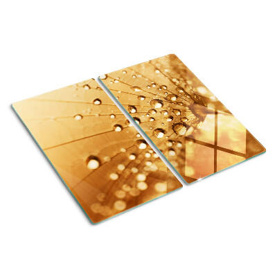 Tagliere in vetro temperato Gocce d'acqua su un dente di leone