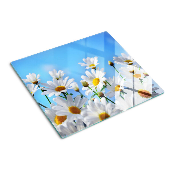 Tagliere in vetro temperato Fiori di margherita su sfondo blu