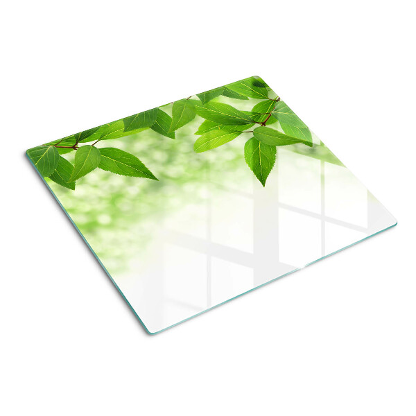 Tagliere in vetro Foglie su uno sfondo verde sfumato