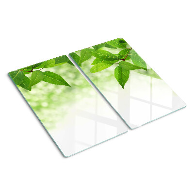 Tagliere in vetro Foglie su uno sfondo verde sfumato