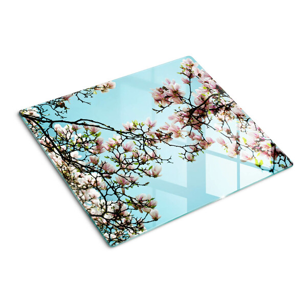 Tagliere in vetro temperato Fiori di magnolia su sfondo blu