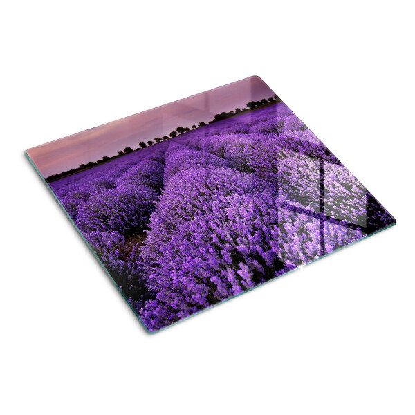 Tagliere in vetro Un campo di lavanda in piena fioritura