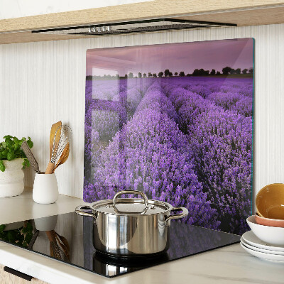 Tagliere in vetro Un campo di lavanda in piena fioritura