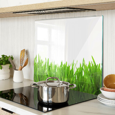 Tagliere in vetro Erba verde con gocce d'acqua