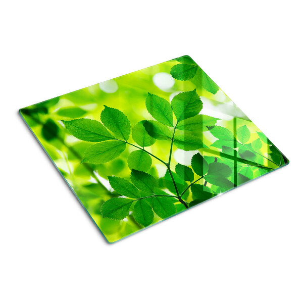 Tagliere in vetro Foglie su sfondo verde