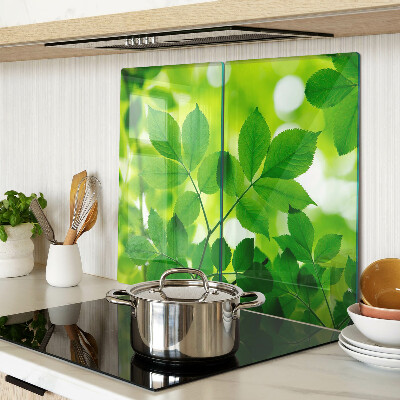 Tagliere in vetro Foglie su sfondo verde
