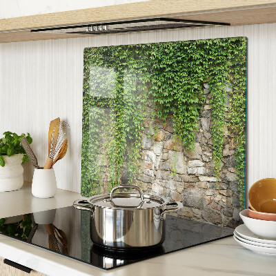 Tagliere in vetro temperato Parete verde con muschio