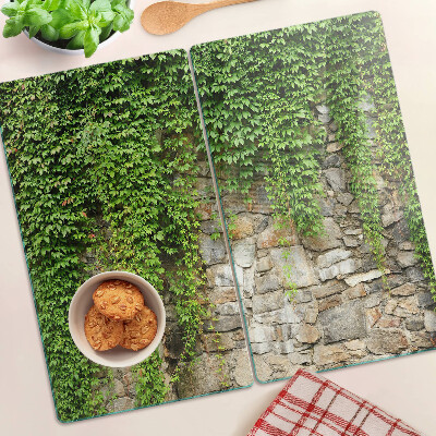 Tagliere in vetro temperato Parete verde con muschio