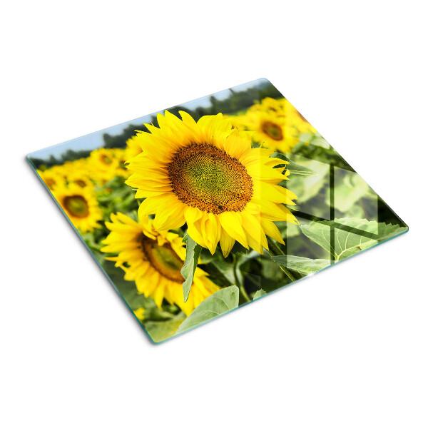 Tagliere in vetro Girasoli su uno sfondo verde