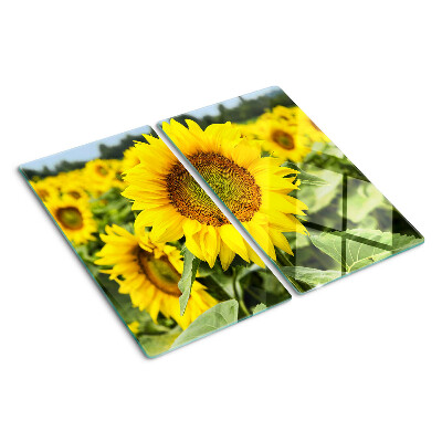 Tagliere in vetro Girasoli su uno sfondo verde