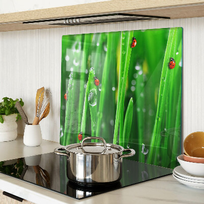 Tagliere in vetro temperato Gocce d'acqua sull'erba con le coccinelle